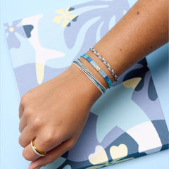 Shark Week 2024 Collection Box