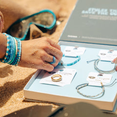 Shark Week 2024 Collection Box