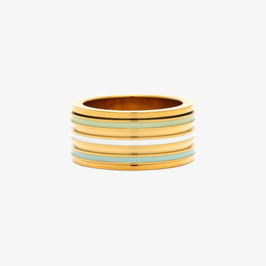 Wide Enamel Stripe Fidget Ring