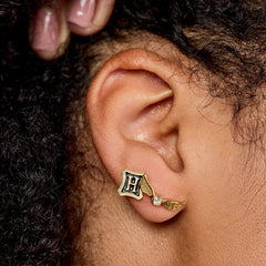 Harry Potter™ Mixed Stud Pack