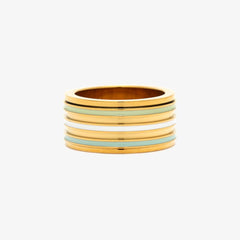 Wide Enamel Stripe Fidget Ring